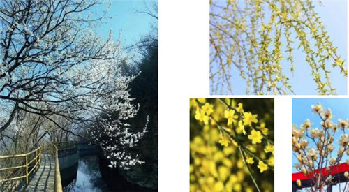 紅旗渠風(fēng)景區(qū)有序開(kāi)放 迎來(lái)首批游客