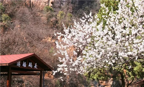 紅旗渠風(fēng)景區(qū)有序開(kāi)放 迎來(lái)首批游客