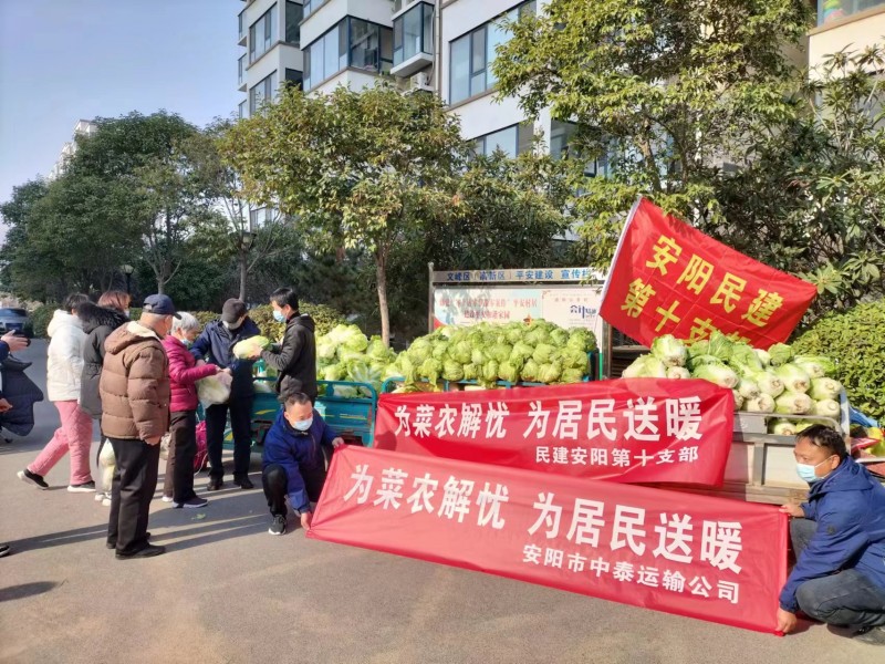 安陽(yáng)民建會(huì)員愛(ài)心接力為社區(qū)捐贈(zèng)蔬菜