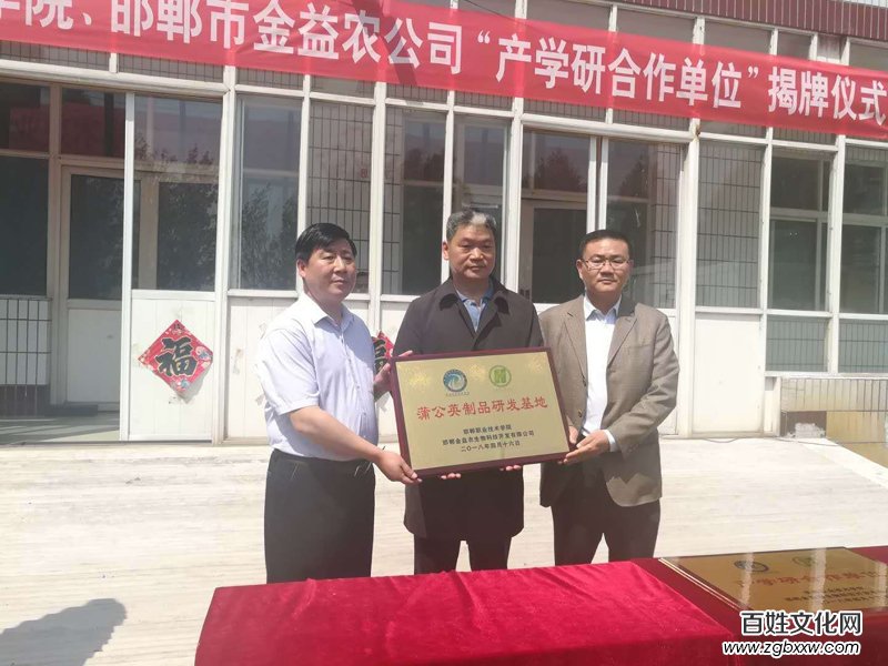 磁縣“蒲公英產(chǎn)學(xué)研基地”、“蒲公英制品研發(fā)基地” 正式掛牌成立