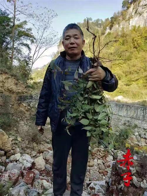 高級(jí)反射蜂療專家范景良