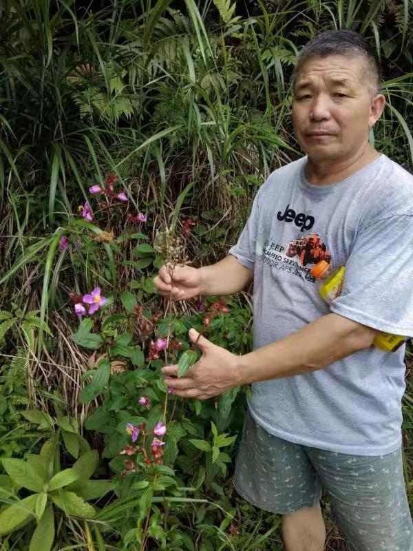 高級(jí)反射蜂療專家范景良