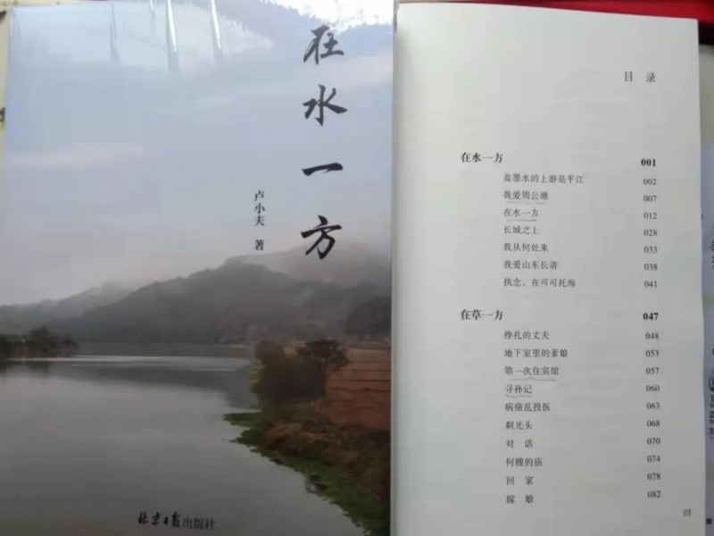 【視界晨報(bào)】王銀柱｜在水一方 妙趣橫生