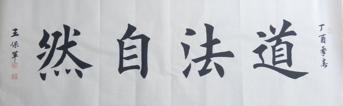 中國當(dāng)代實(shí)力派書畫名家王保軍書法藝術(shù)欣賞